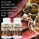 parker-naturals-turkey-tail-mushroom-cap-2.jpg
