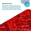 life-extension-vitamin-b12-methylcobalam-6.jpg