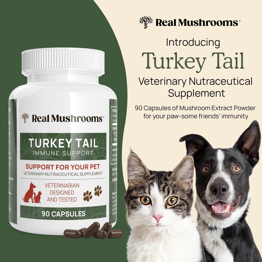 real-mushrooms-chaga-for-humans-120ct-tu-6.jpg