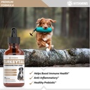 turkey-tail-mushroom-for-dogs-helps-to-b-2.jpg
