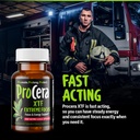procera-xtf-perfect-study-aid-immediate--4.jpg
