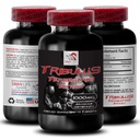 active-energy-source-tribulus-terrestris-2.jpg