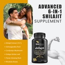 6-in-1-shilajit-supplement-300mg-mood-an-3.jpg