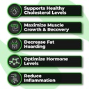 species-nutrition-omegalyze-support-supp-4.jpg