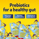prebiotic-nana-flakes-100-pure-banana-fl-3.jpg