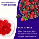 nutrachamps-elderberry-gummies-sambucus--4.jpg