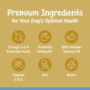 k9-innovations---daily-skin-coat-dog-che-3.jpg