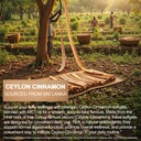 j-h-jasmine-hyacinth-ceylon-cinnamon-cap-5.jpg