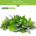 naturalma-brahmi-bacopa-monnieri-herb-al-4.jpg