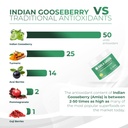 amla-powder-decaf-green-tea-superfood-su-5.jpg
