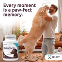 lignans-for-life-k9-select-pet-care-bund-5.jpg