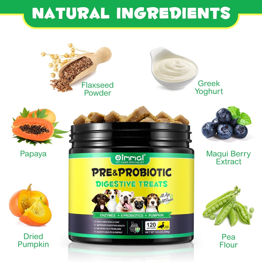 probiotics-for-dogs-digestive-health-dig-5.jpg