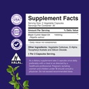 bundle-of-nootropic-brain-supplement-for-3.jpg