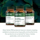 gaia-herbs-pro-serenocin-heart-brain-axi-6.jpg