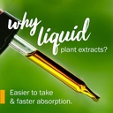 herb-pharm-certified-organic-blessed-thi-3.jpg