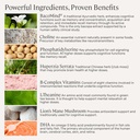stonehenge-health-dynamic-joint-dynamic--4.jpg