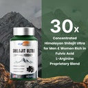 shilajit-for-men-women-shilajit-with-nat-4.jpg