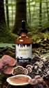 north-spore-organic-immunity-mushroom-ti-4.jpg