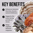 north-spore-organic-immunity-mushroom-ti-3.jpg