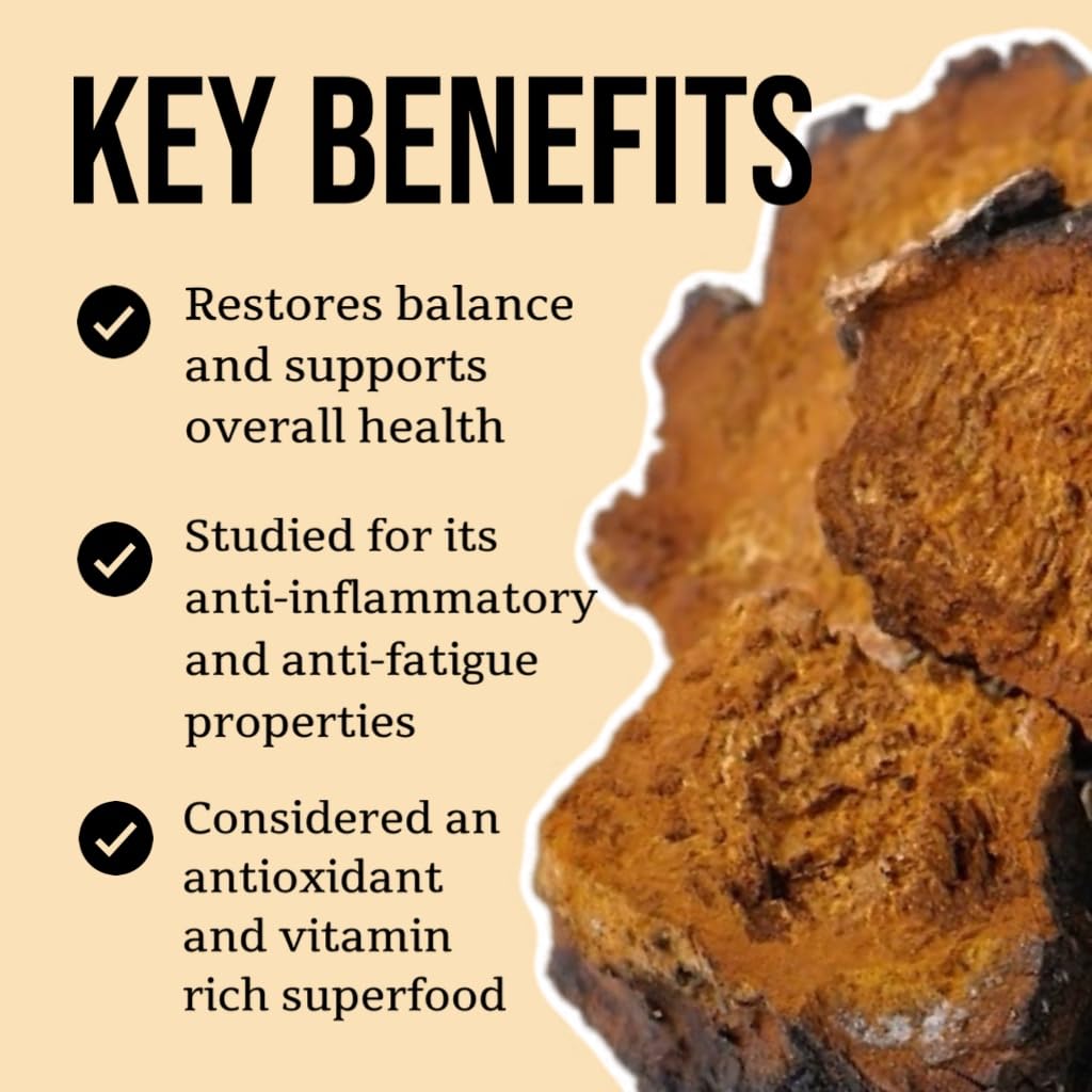 north-spore-organic-chaga-mushroom-tinct-3.jpg