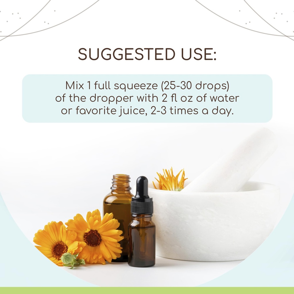 herbera-bacopa-b60-alcohol-free-herbal-e-2.jpg