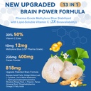 2pack-usp-methylene-blue-pharmaceutical--2.jpg