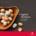 health-concerns-collagenex-2-collagen-su-3.jpg