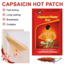 kongdy-capsaicin-patches-4-72-x7-08-hot--4.jpg