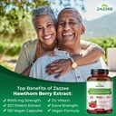 zazzee-herbal-b-pressure-support-bundle--4.jpg