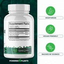 pure-berberine-supplement-1300mg-berberi-6.jpg
