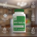health-thru-nutrition-alpha-lipoic-acid--4.jpg