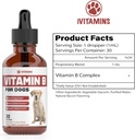 vitamin-b-for-dogs-vitamin-b-complex-for-2.jpg
