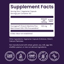 healthy-origins-pycnogenol-100-mg-60-veg-4.jpg