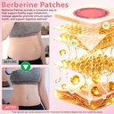 berberine-patches-for-women-men-with-cin-2.jpg
