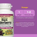 natural-factors-black-elderberry-100-mg--3.jpg