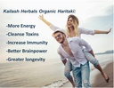 kailash-herbals-optimum-brain-and-gut-he-5.jpg