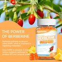 berberine-gummies-1200mg-with-ceylon-cin-3.jpg