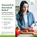terry-naturally-stomach-intestinal-relie-3.jpg