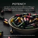 gaia-herbs-rhodiola-rosea-vegan-liquid-p-2.jpg