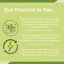 biopharma-scientific-nanopro-vegan-vegan-3.jpg