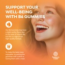 potent-vitamin-b6-gummies-for-adults-vit-2.jpg