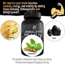 shilajit-himalayan-supplement-60-fulvic--4.jpg