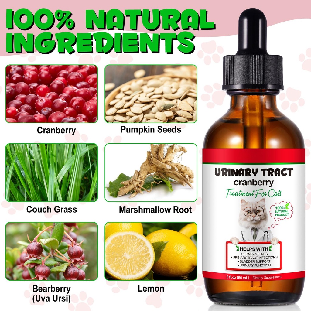 feline-urinary-tract-health-cat-uti-reme-3.jpg