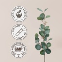 milk-thistle-alcohol-free-natural-tinctu-4.jpg