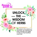 bacopa-drops-improves-memory-concentrati-5.jpg