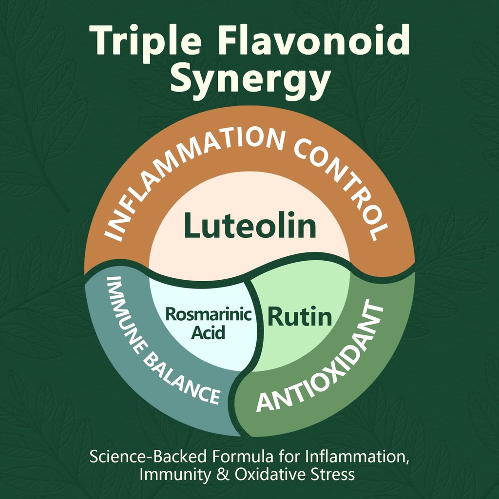 hypervive-bacopa-monnieri-luteolin-bundl-6.jpg