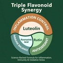 hypervive-bacopa-monnieri-luteolin-bundl-6.jpg