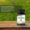 organic-spree-alfalfa-tulsi-supplement-1-2.jpg