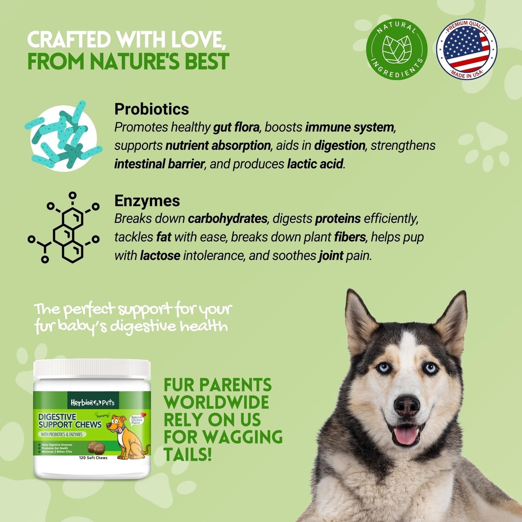 herbion-pets-digestive-support-chews-wit-3.jpg