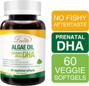 lovita-algae-oil-plant-based-dha-alterna-2.jpg